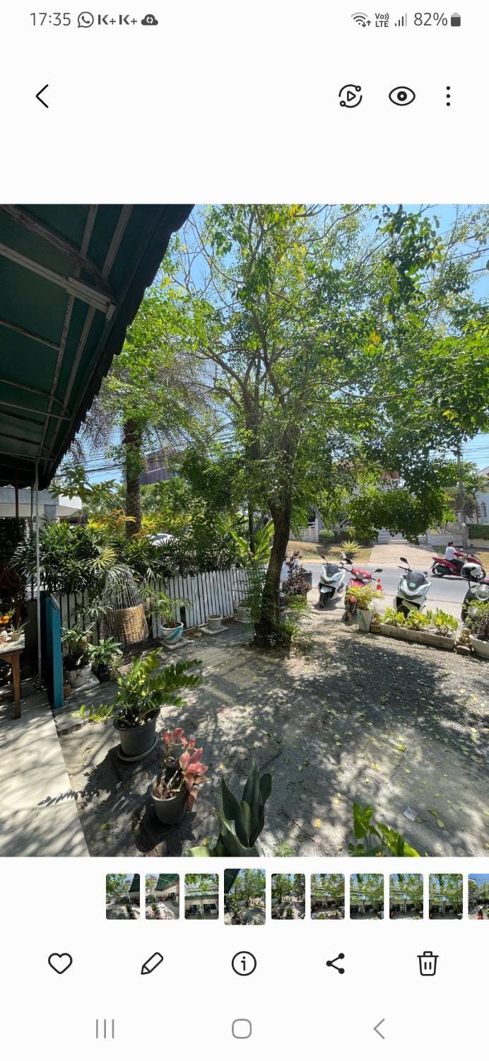 Garden view