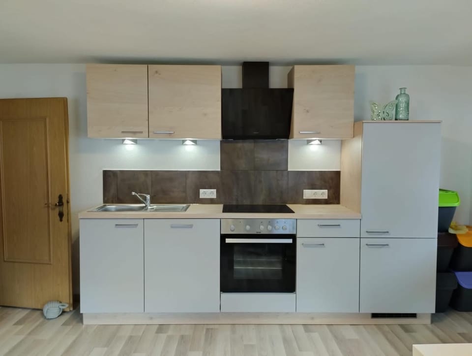 Kitchen or kitchenette, dishwasher