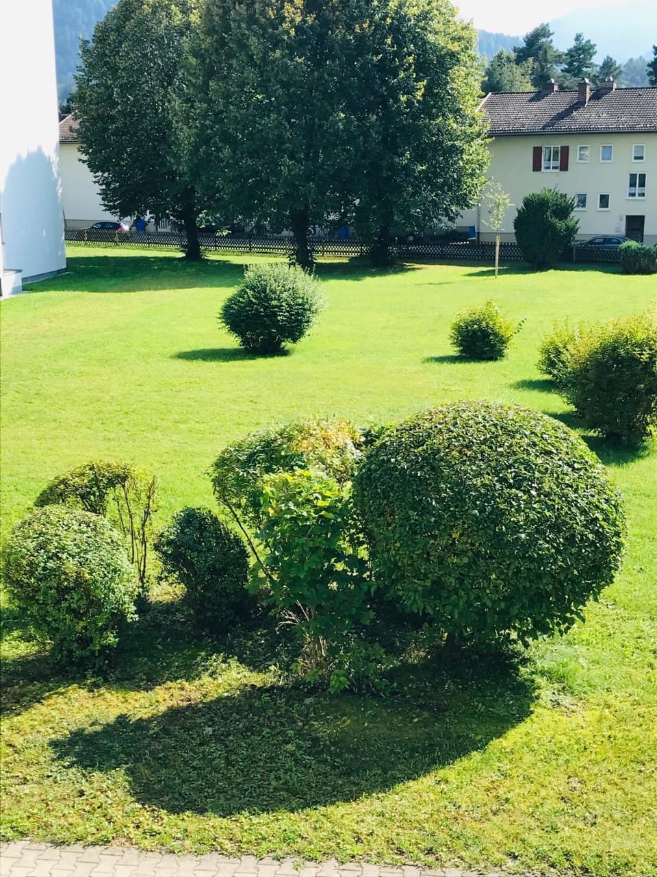 Garden view