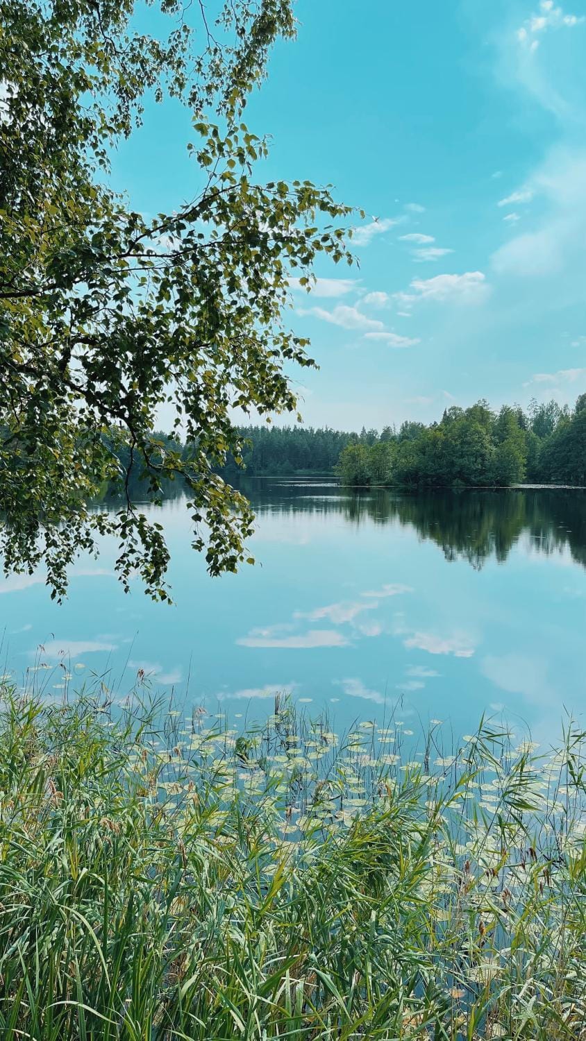 Saarjärve Väike Puhkemaja järve ääres Chalet in Estonia