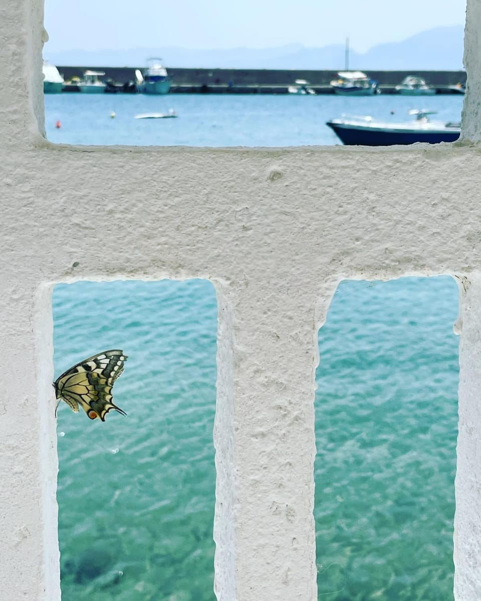 Seating area, Sea view