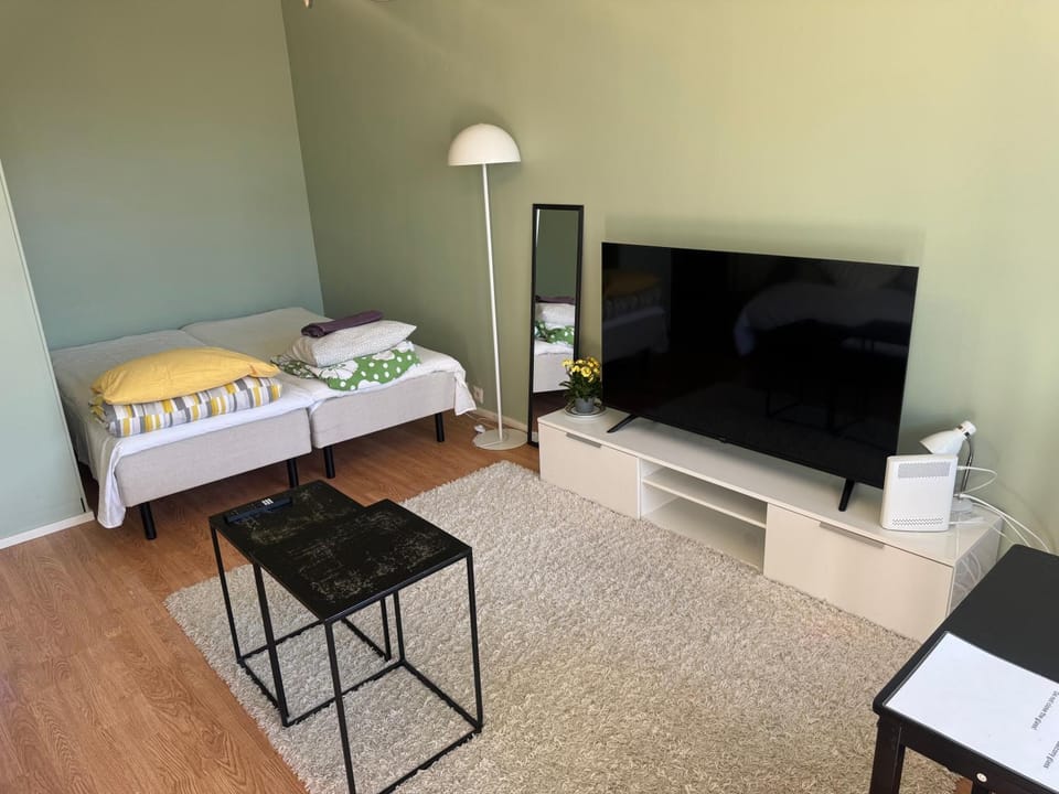 Kauniit yksiöt, 600m keskustaan, free park Apartment in Finland
