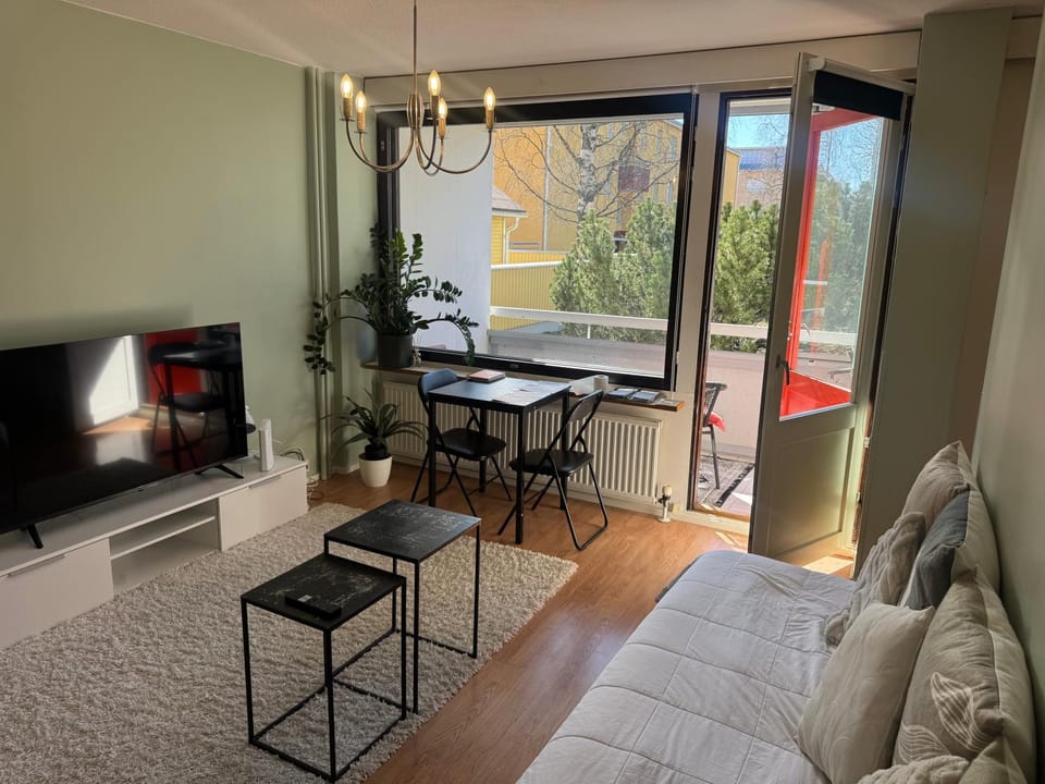 Kauniit yksiöt, 600m keskustaan, free park Apartment in Finland