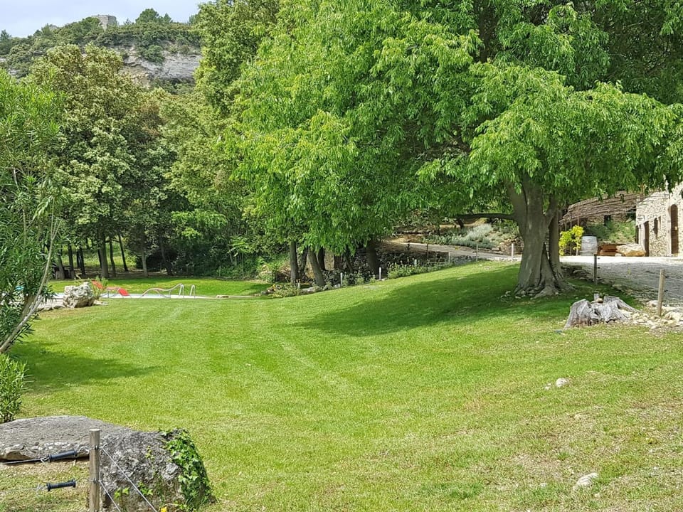 Summer, Garden