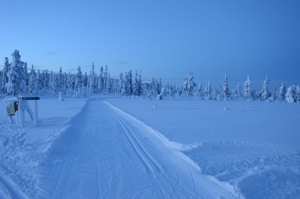 Day, Winter, Skiing