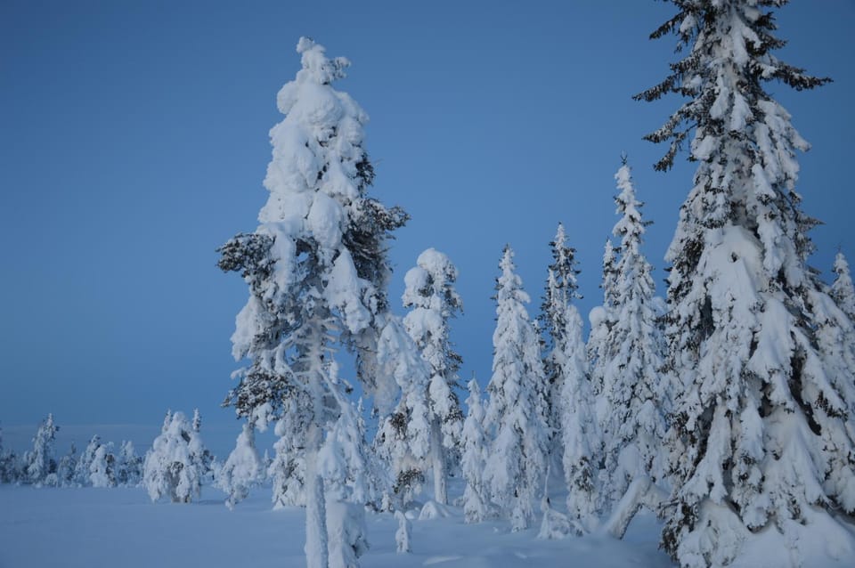 Day, Natural landscape, Winter