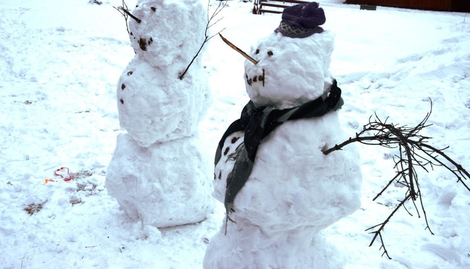 Activities, Winter