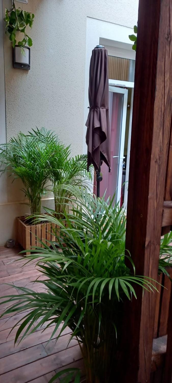 Garden, Garden view
