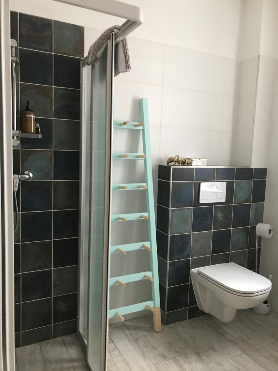 Shower, Toilet