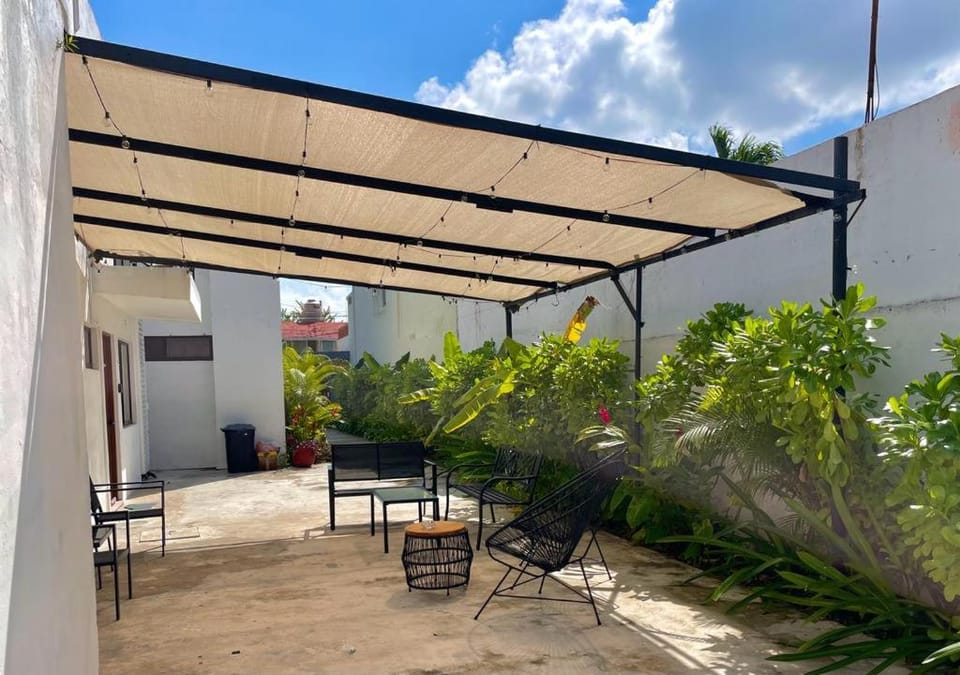 Patio, Day, Garden