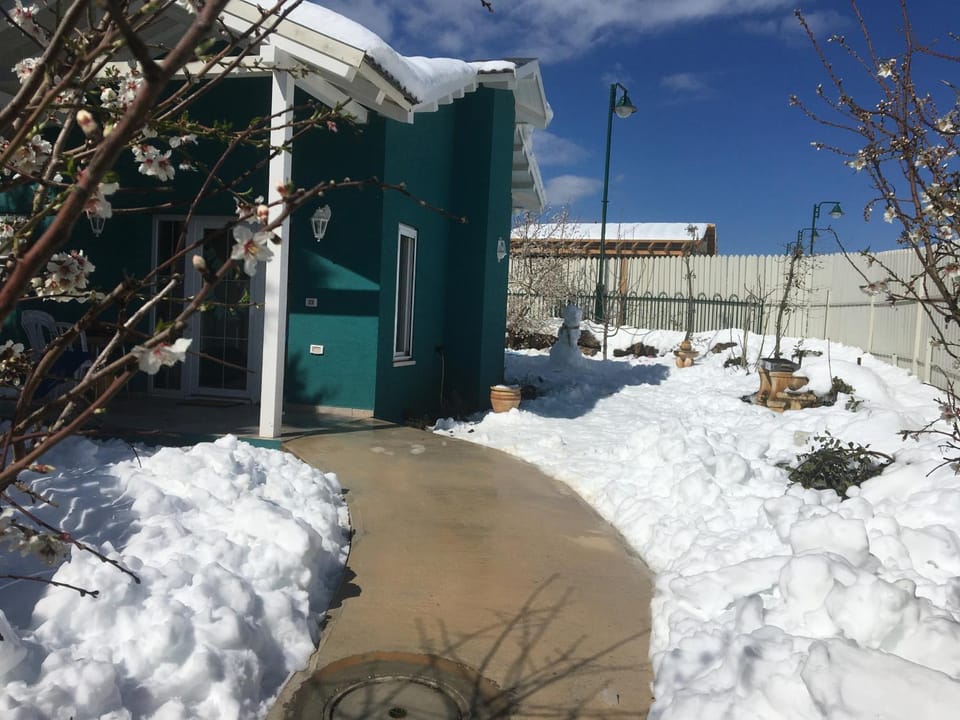 Winter, Garden