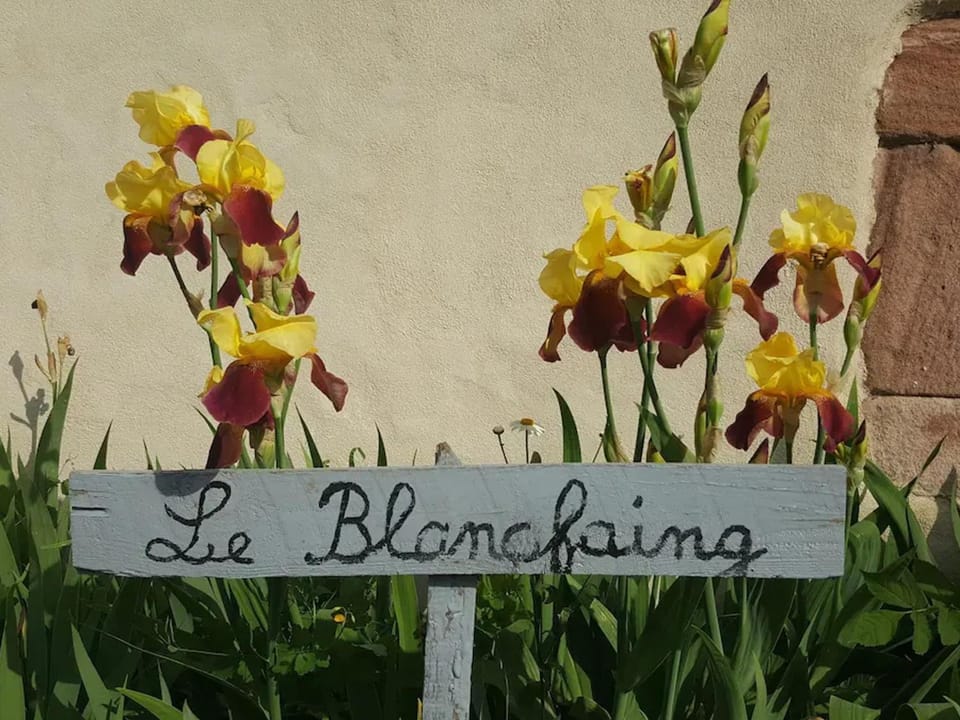 Gîte élégant en pleine nature avec terrasse, départ randonnées, parking privé et équipements inclus - FR-1-589-384 Apartment in Vosges