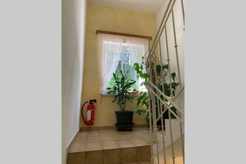 Unterkunft mit Aussicht in Bad Ischl Apartment in Salzburgerland