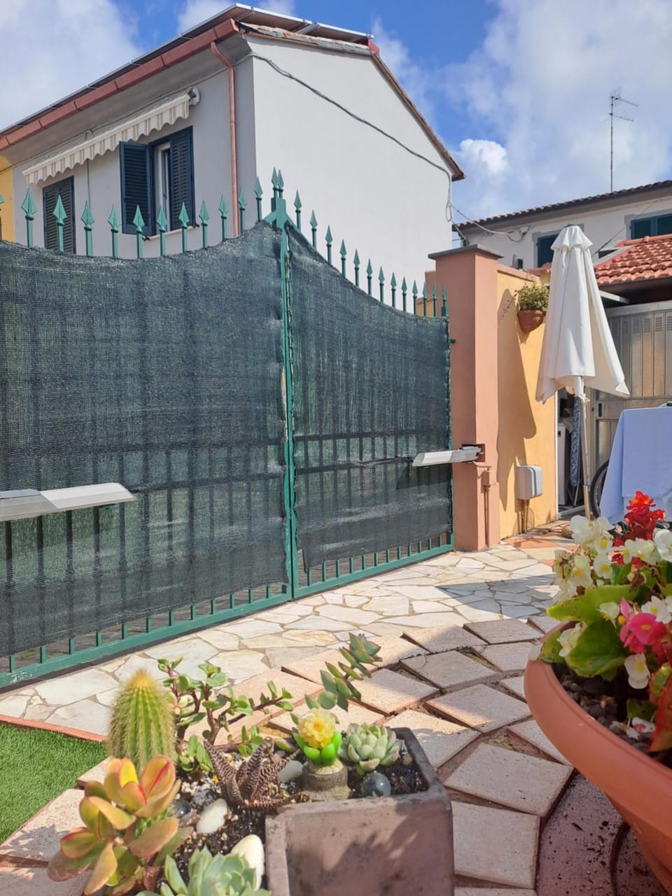 Garden view