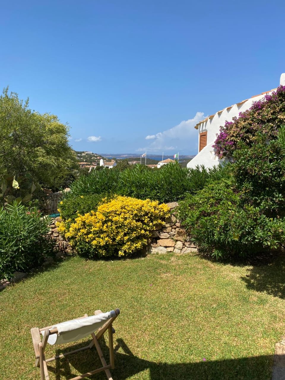 Patio, Garden