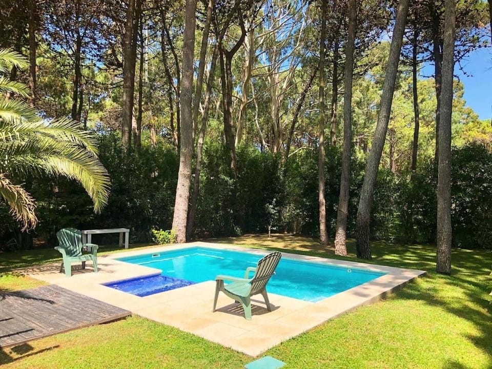 Day, Garden, Swimming pool