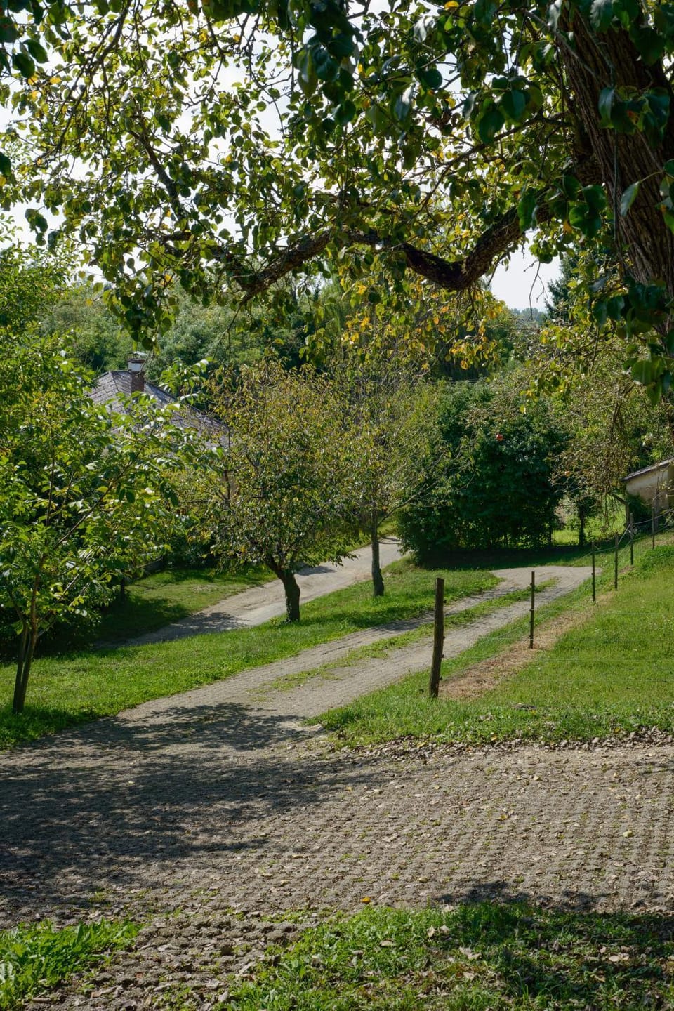 Natural landscape, Garden, Parking