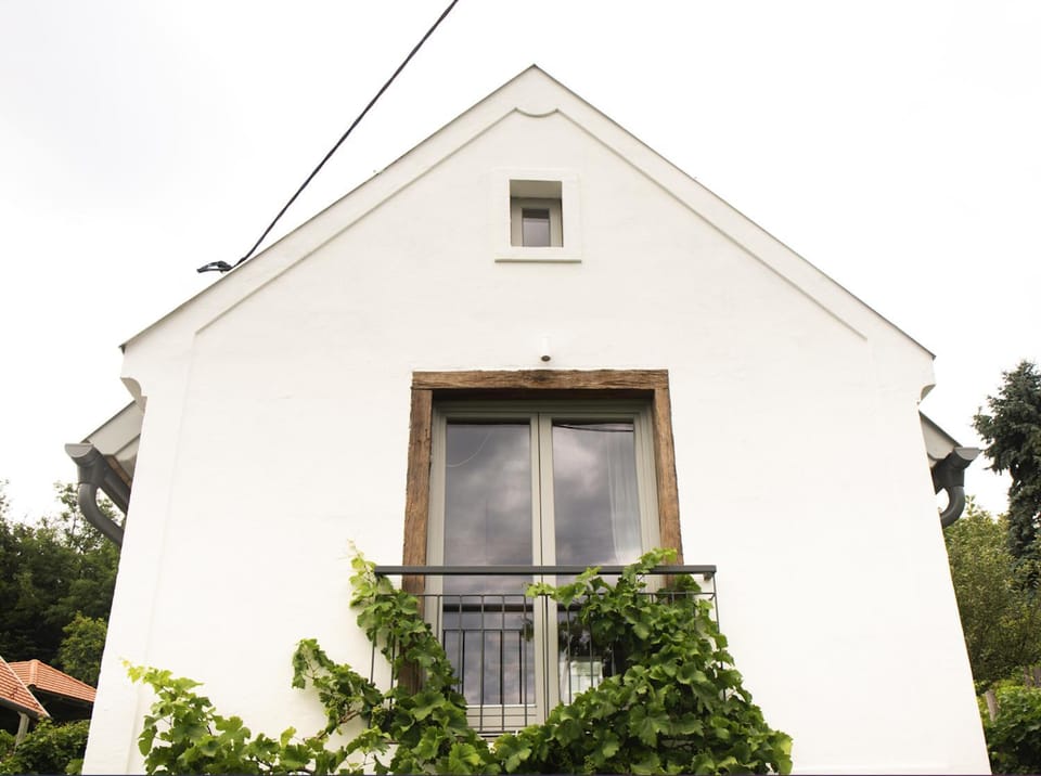Vinonima Vendégház House in Hungary