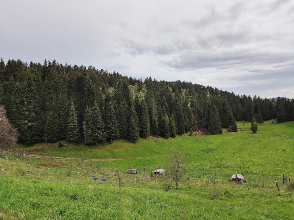 Natural landscape, Hiking