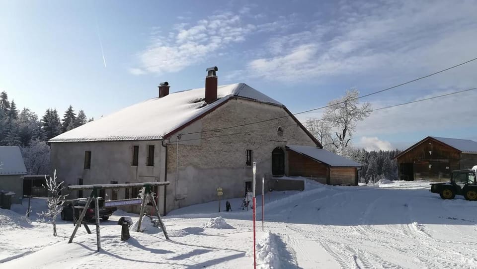 Property building, Winter