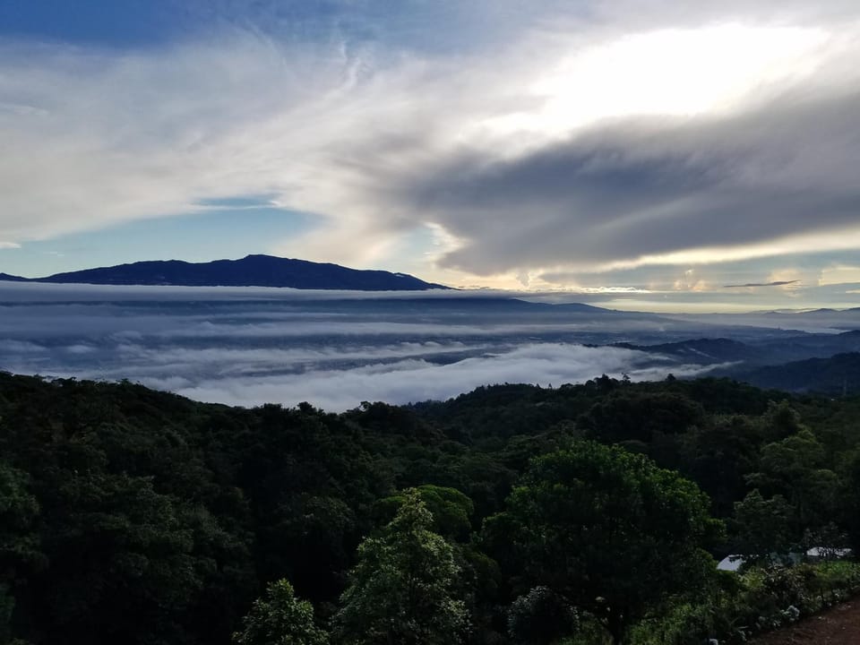 Natural landscape