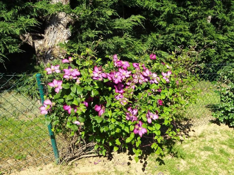 Charmant gîte cozy près du Mans avec jardin, terrasse, proche commodités et activités. - FR-1-410-336 House in Pays de la Loire