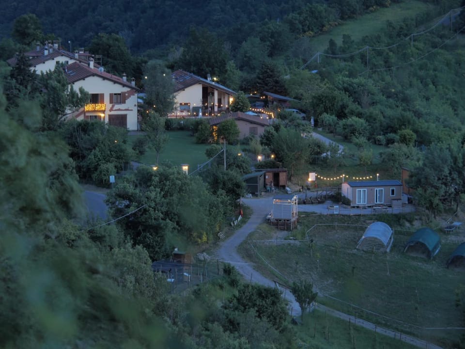 Property building, Night, Neighbourhood, Natural landscape, Street view