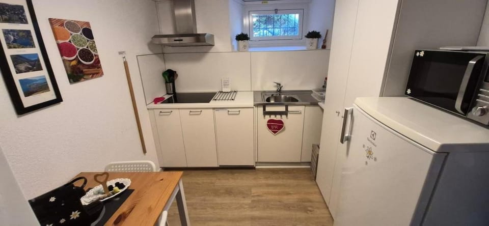Kitchen or kitchenette, dishwasher, stove