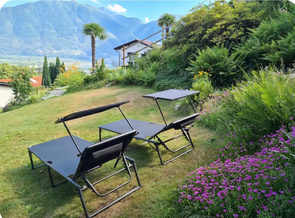 Natural landscape, Garden, Mountain view