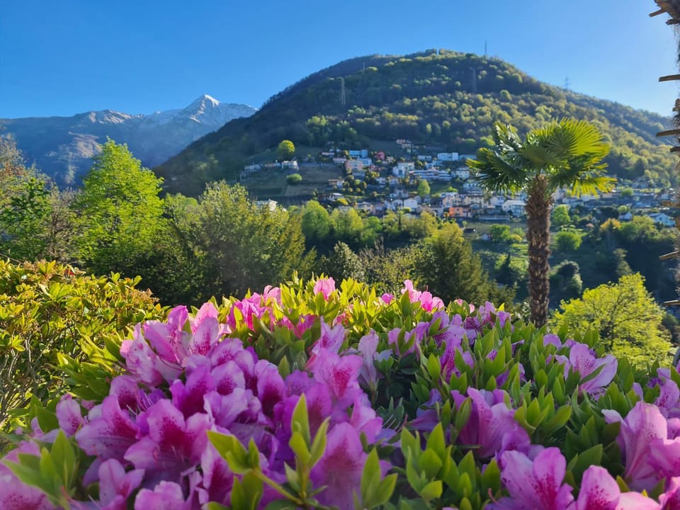 Spring, Natural landscape, Mountain view