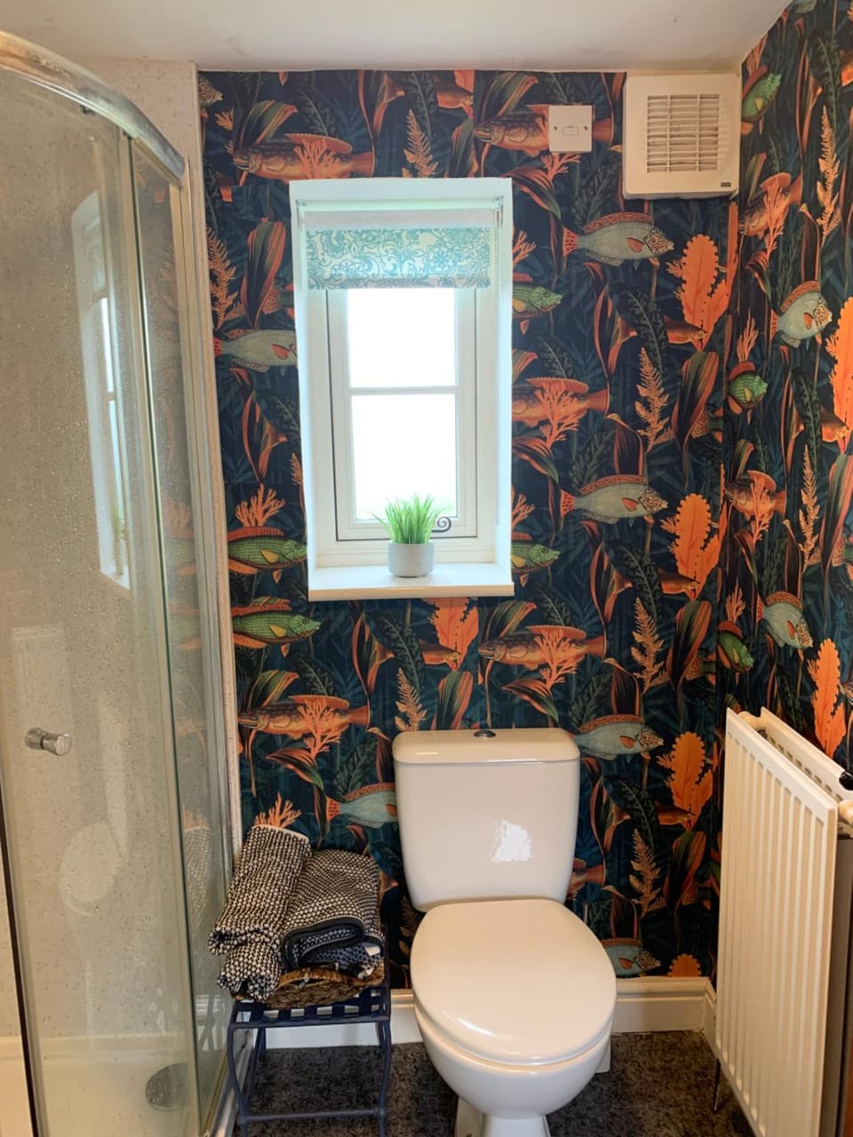 Shower, Toilet, internet