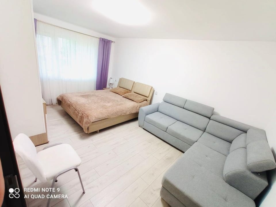 Garsonieră Daniela Apartment in Romania