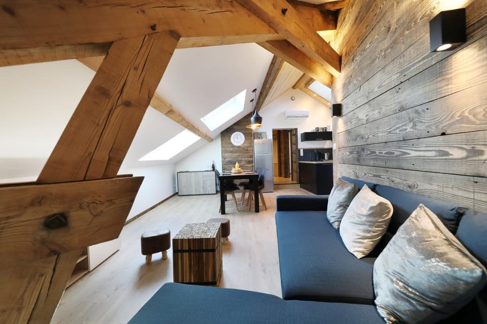 Superbe appartement, hypercentre au calme avec bain balnéo Apartment in Gérardmer