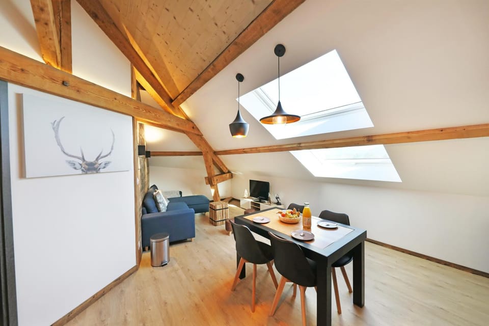 Superbe appartement, hypercentre au calme avec bain balnéo Apartment in Gérardmer