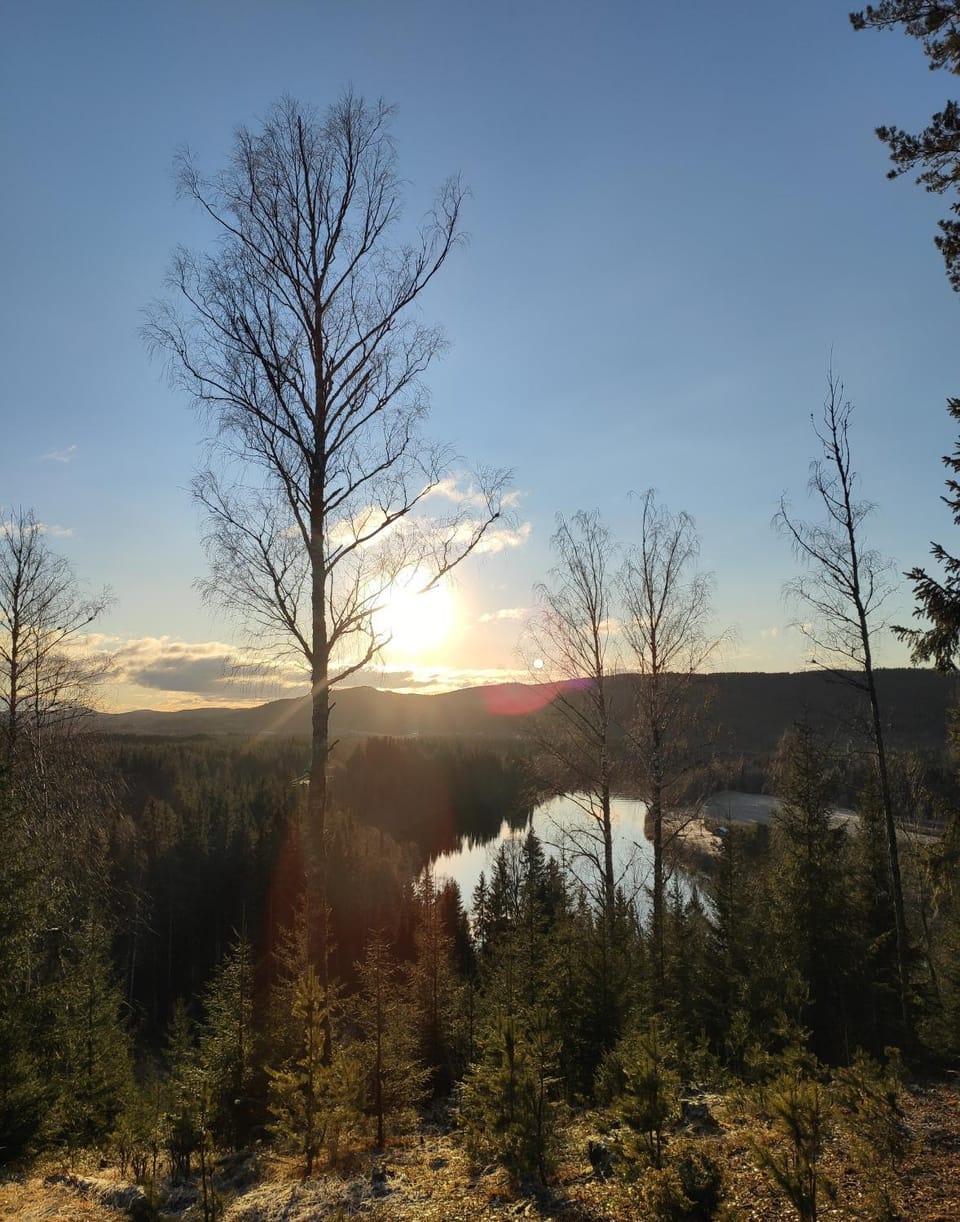 Natural landscape