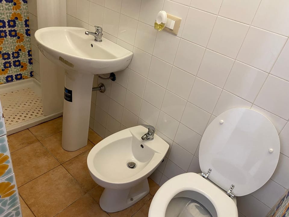 Shower, Toilet, Bathroom, bidet
