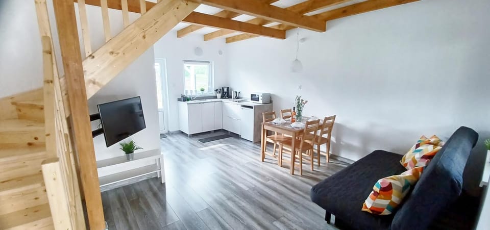 TV and multimedia, Kitchen or kitchenette, Living room, Seating area, Dining area, minibar, stove