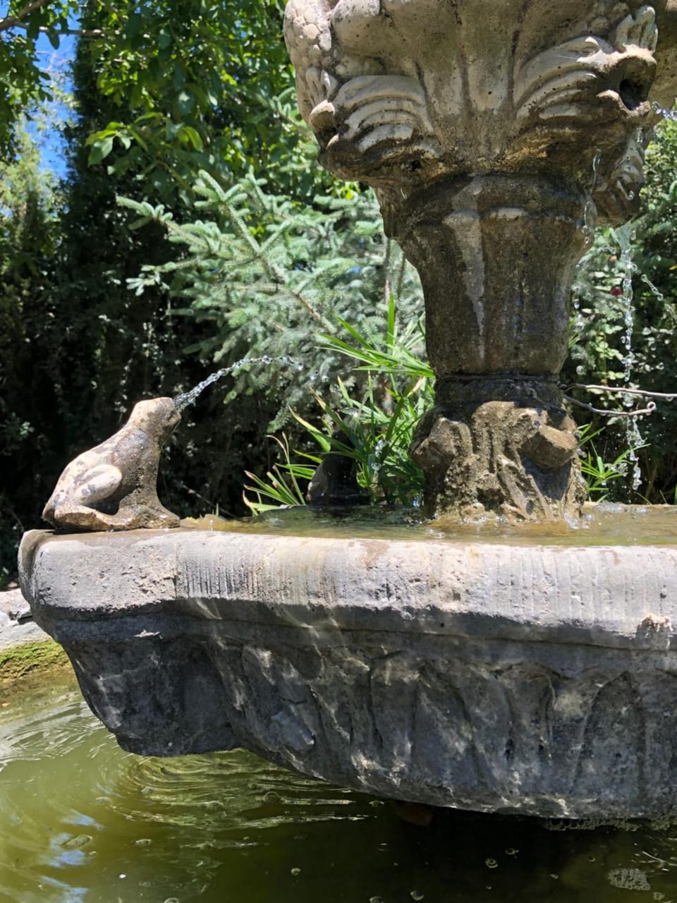 Off site, Garden