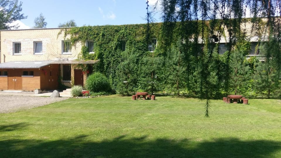 Patio, Facade/entrance, Summer, On site