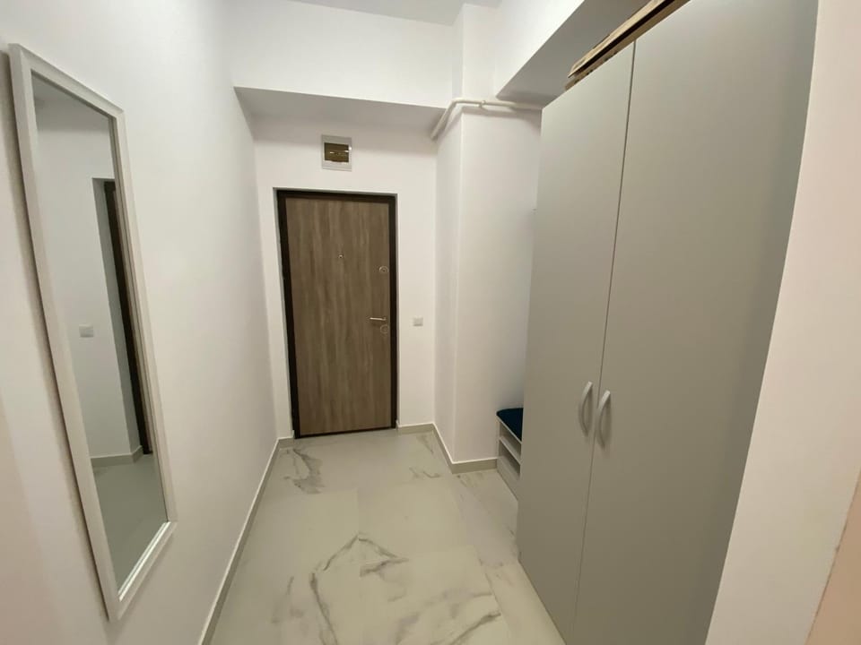 STUDIO PALAS - the central spot Apartment in Romania