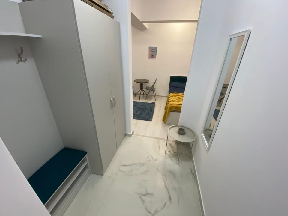 STUDIO PALAS - the central spot Apartment in Romania