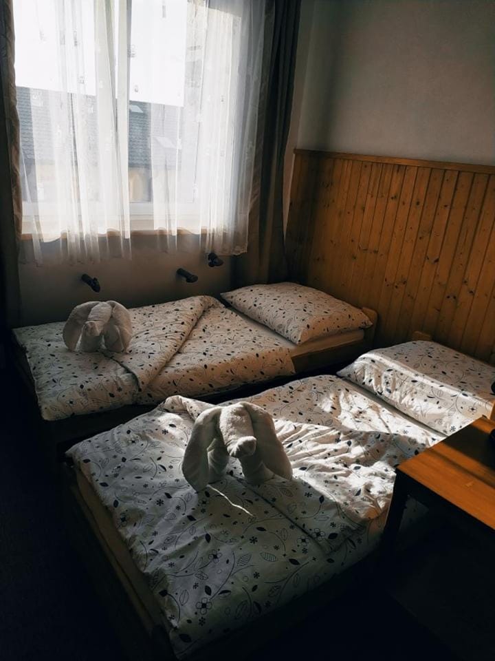 Penzion Vysočina Bed and Breakfast in Czechia