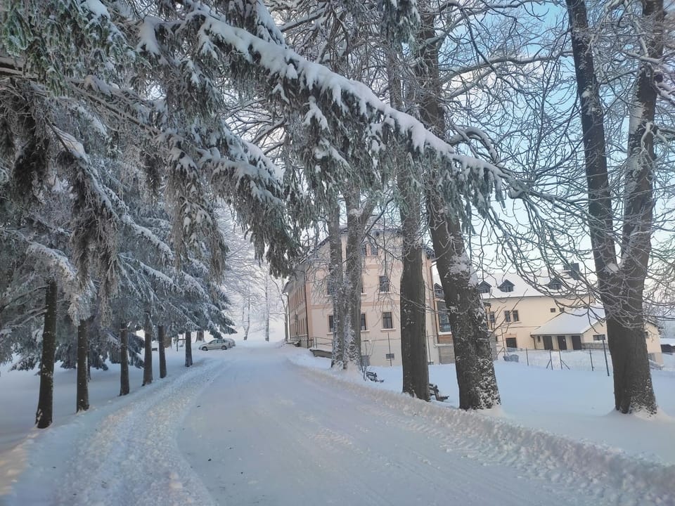 Natural landscape, Winter