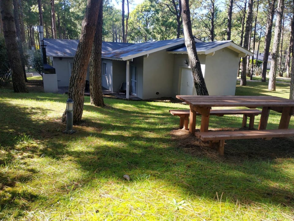 Patio, Garden