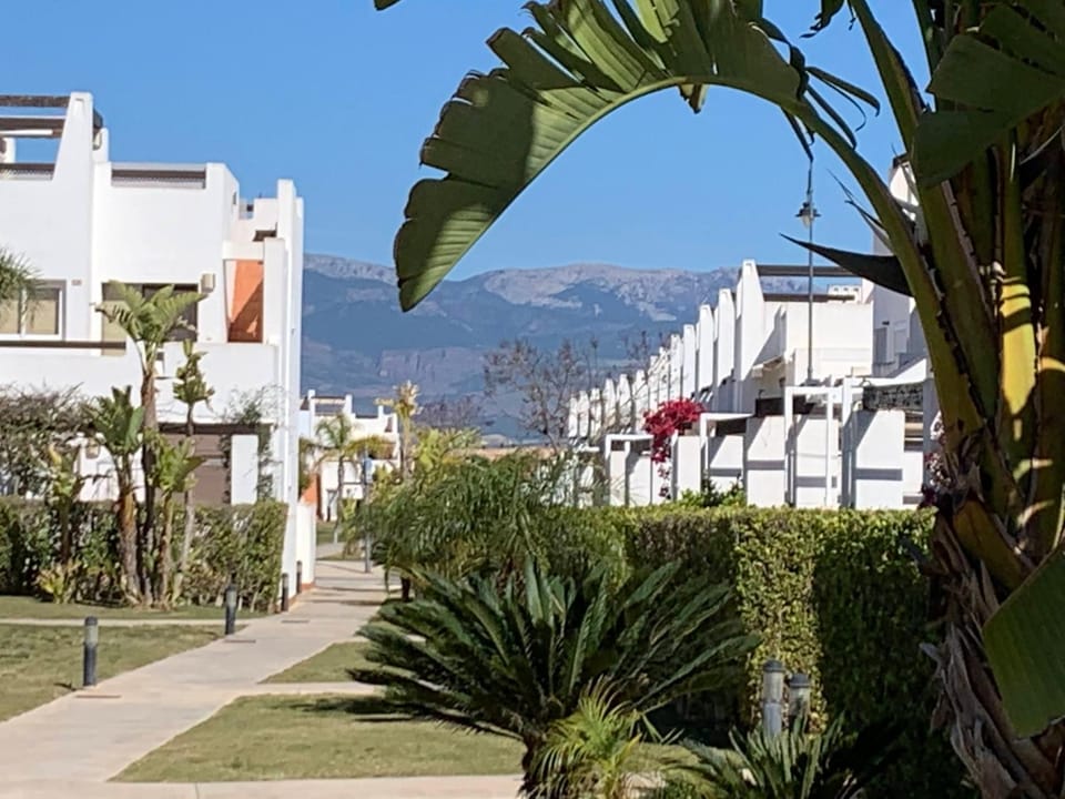 Neighbourhood