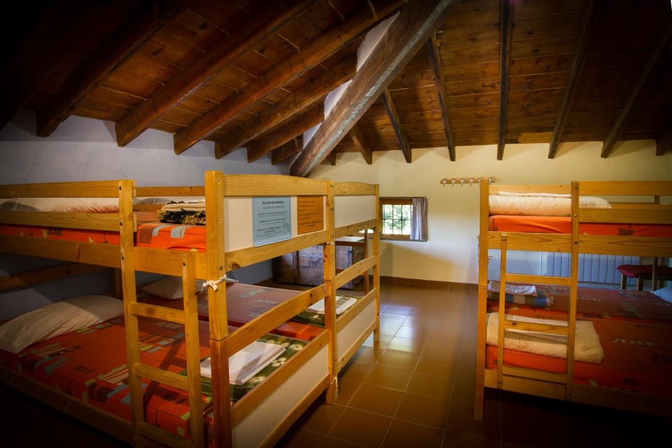 Photo of the whole room, Bedroom, bunk bed