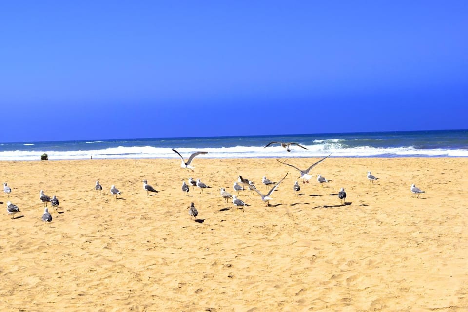Natural landscape, Beach