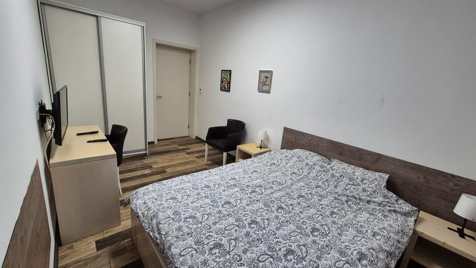 Cozy apartment in the center of Belgrade - living room, bedroom and bathroom Apartment in Belgrade