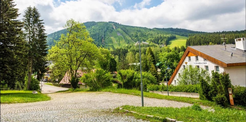 Spa Hotel Bily Horec Hotel in Czechia