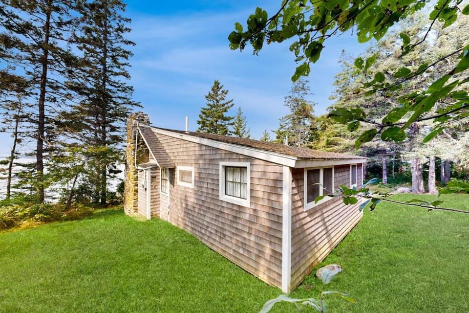 Property building, Spring, Day, Garden